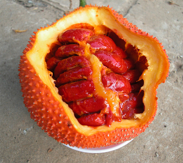 Nấu xôi gấc dẻo ngon, bổ dưỡng cho cả nhà