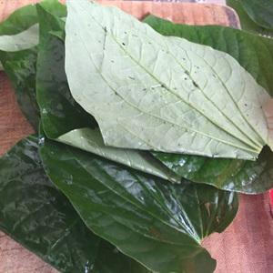 Cách làm nem lá lốt kiểu Nghệ An