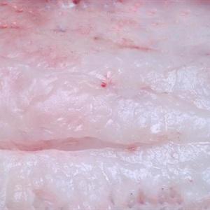 Cách làm nem phùng