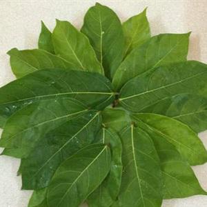 Cách làm nem phùng