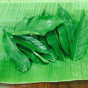 Cách làm nem phùng