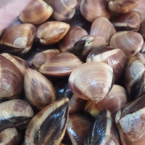 Cách làm ngao xào ớt chuông