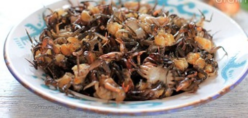 Ngày lạnh làm ngay nem cua rán lạ miệng cực đưa cơm