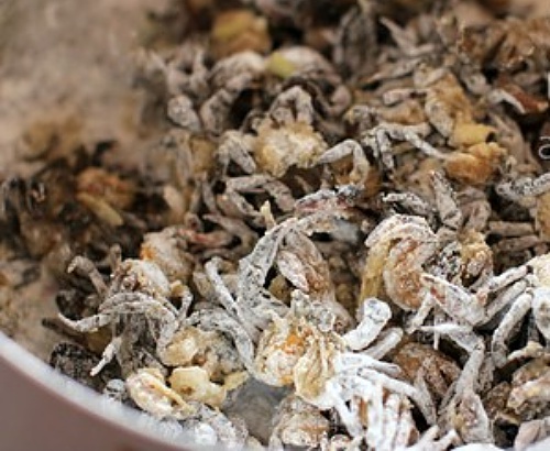 Ngày lạnh làm ngay nem cua rán lạ miệng cực đưa cơm