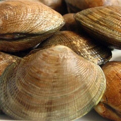 Cách làm nghêu hấp rượu