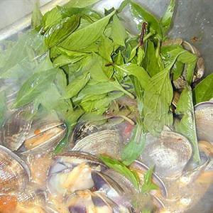 Cách làm nghêu xào húng quế