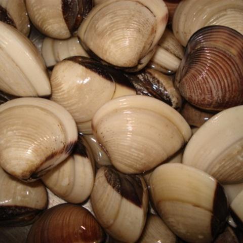 Cách làm nghêu xào húng quế