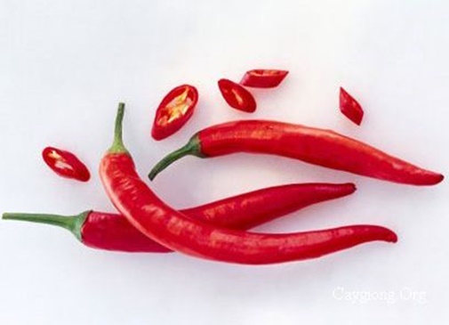 Ngô xào phô mai giòn ngọt dẻo thơm nhâm nhi cả ngày không chán