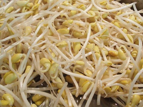 Ngon mê mẩn món mỳ gà nấu nước dừa