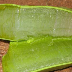 Nha đam nấu đường phèn