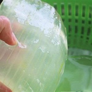 Nha đam nấu đường phèn