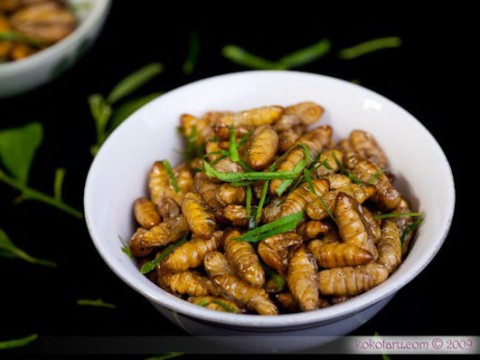 Nhộng rang lá chanh