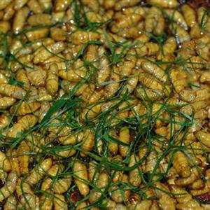 Cách làm nhộng rang lá chanh