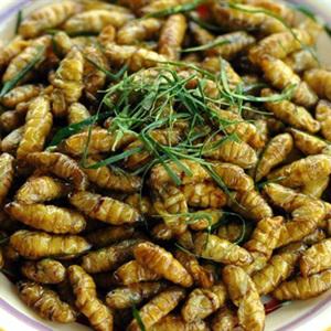 Cách làm nhộng rang lá chanh