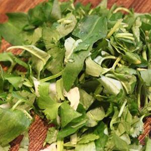 Cách làm nộm gà bắp cải