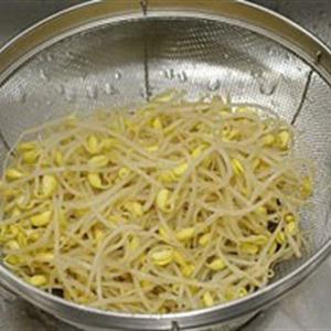 Cách làm nộm giá đỗ