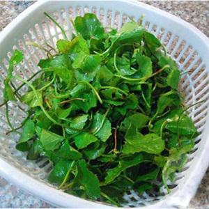 Cách làm nộm rau má tôm thịt