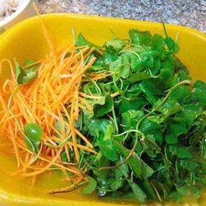 Cách làm nộm rau má tôm thịt