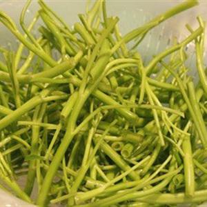 Cách làm nộm rau muống