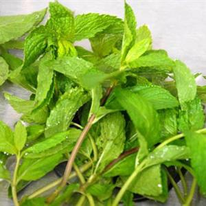 Cách làm nộm xoài tai heo