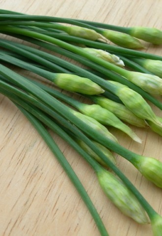 Nui xào hoa hẹ, thịt xông khói