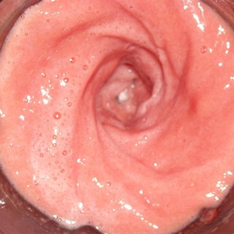 Cách làm nước chanh dưa hấu