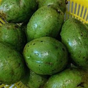 Cách làm nướp ép cóc