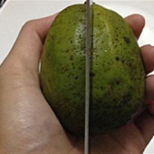 Cách làm nướp ép cóc