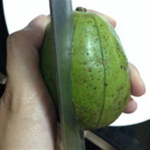 Cách làm nướp ép cóc