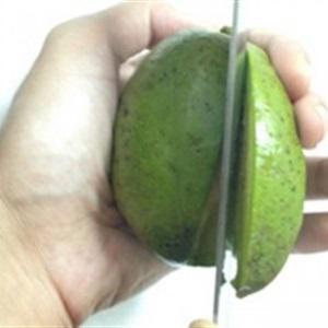 Cách làm nướp ép cóc