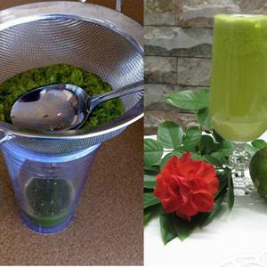 Cách làm nước ép cóc bằng máy xay sinh tố