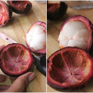 Cách làm nước ép măng cụt