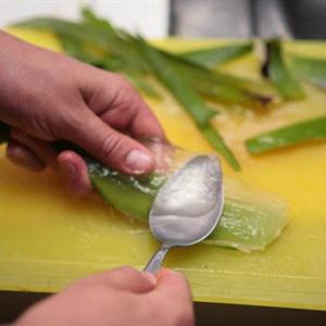 Cách làm nước ép nha đam