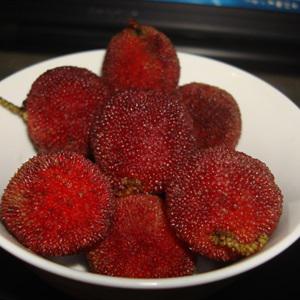 Cách làm nước thanh mai