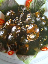 Ốc bươu xào tàu xì