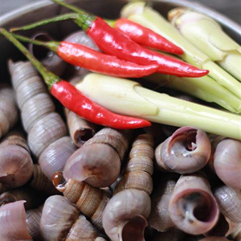 Cách làm ốc đinh xào sả ớt