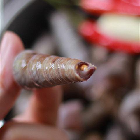 Cách làm ốc đinh xào sả ớt