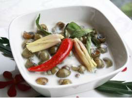 Ốc gạo cốt dừa