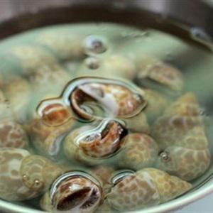 Cách làm ốc hương xào mắm tắc