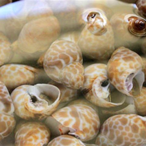 Cách làm ốc hương xào tỏi ớt và lá chanh