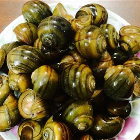 Cách làm ốc mít xào cay