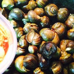Cách làm ốc mít xào cay