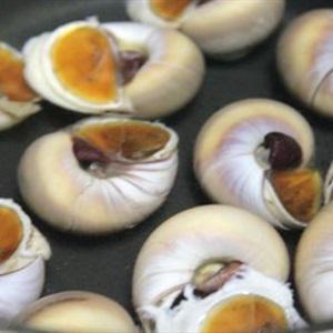 Cách làm ốc mỡ xào sa tế
