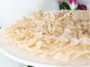 Ốc vòi voi sashimi