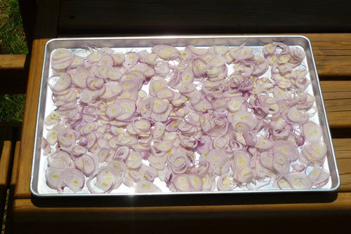 Om thịt ba chỉ kiểu này ăn bao nhiêu cơm cũng hết