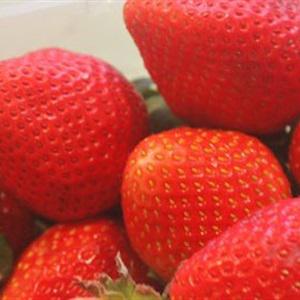 Cách làm ông già Noel bằng dâu tây