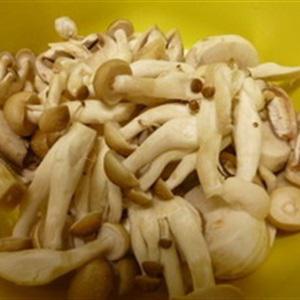 Cách làm pasta kem nấm