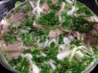 Phở bò