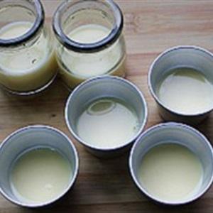 Cách làm pudding cacao 2 tầng