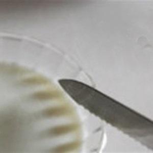 Cách làm pudding sữa